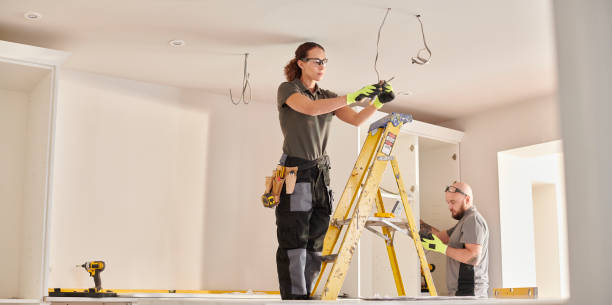 Best Electrical Upgrades for Homes  in Ionia, MI