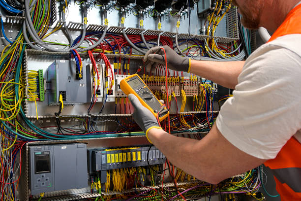 Best Electric Panel Repair  in Ionia, MI
