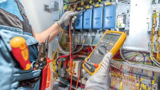 Best Home Electrical Repair  in Ionia, MI